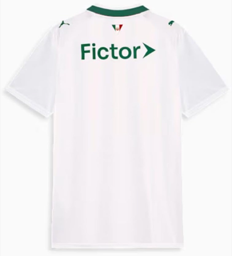 Camisa Palmeiras Puma Torcedor Away 26 Masculino