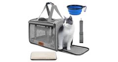 Caixa de Transporte para Gatos 46x30x30cm Dobrável com Alça e Almofada