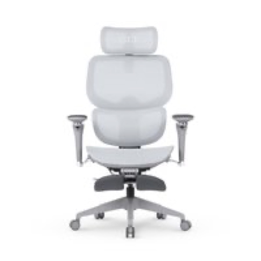 Cadeira Office DT3 Ergonomie FT, Até 160kg, Reclinável, Braço 5D, Cilindro de Gás Claase 4, Cinza - 14436-8