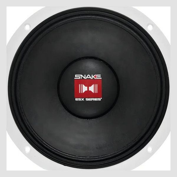 Woofer Snake ESX 810 10'' 450W RMS Médio Grave Carro Caminhonete